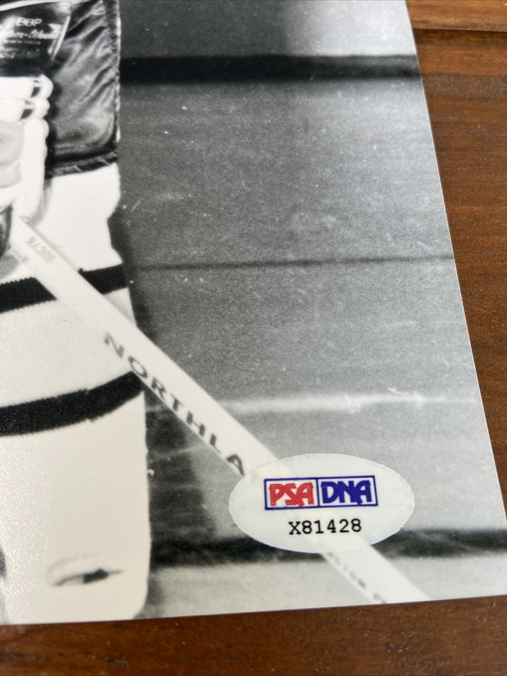 JOHN BUCYK BOSTON BRUINS AUTOGRAPH 8X10 PSA/DNA COA